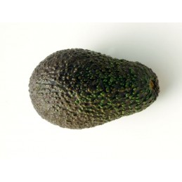 Avocat hass selection